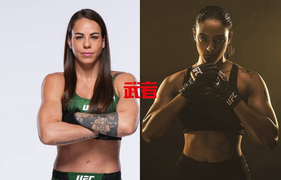 厘米, ngton, 与盖斯特鲁 厘米, ngton, 与盖斯特鲁