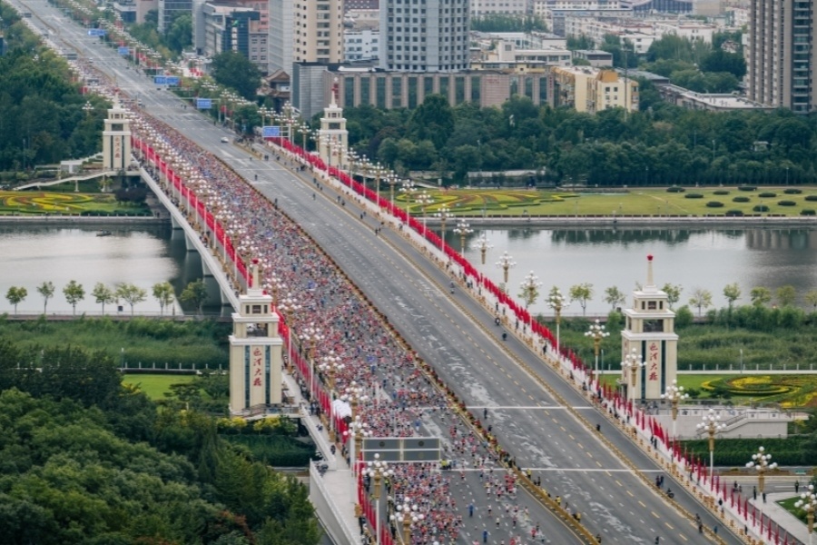 子半程第一, OmoDw, 记者