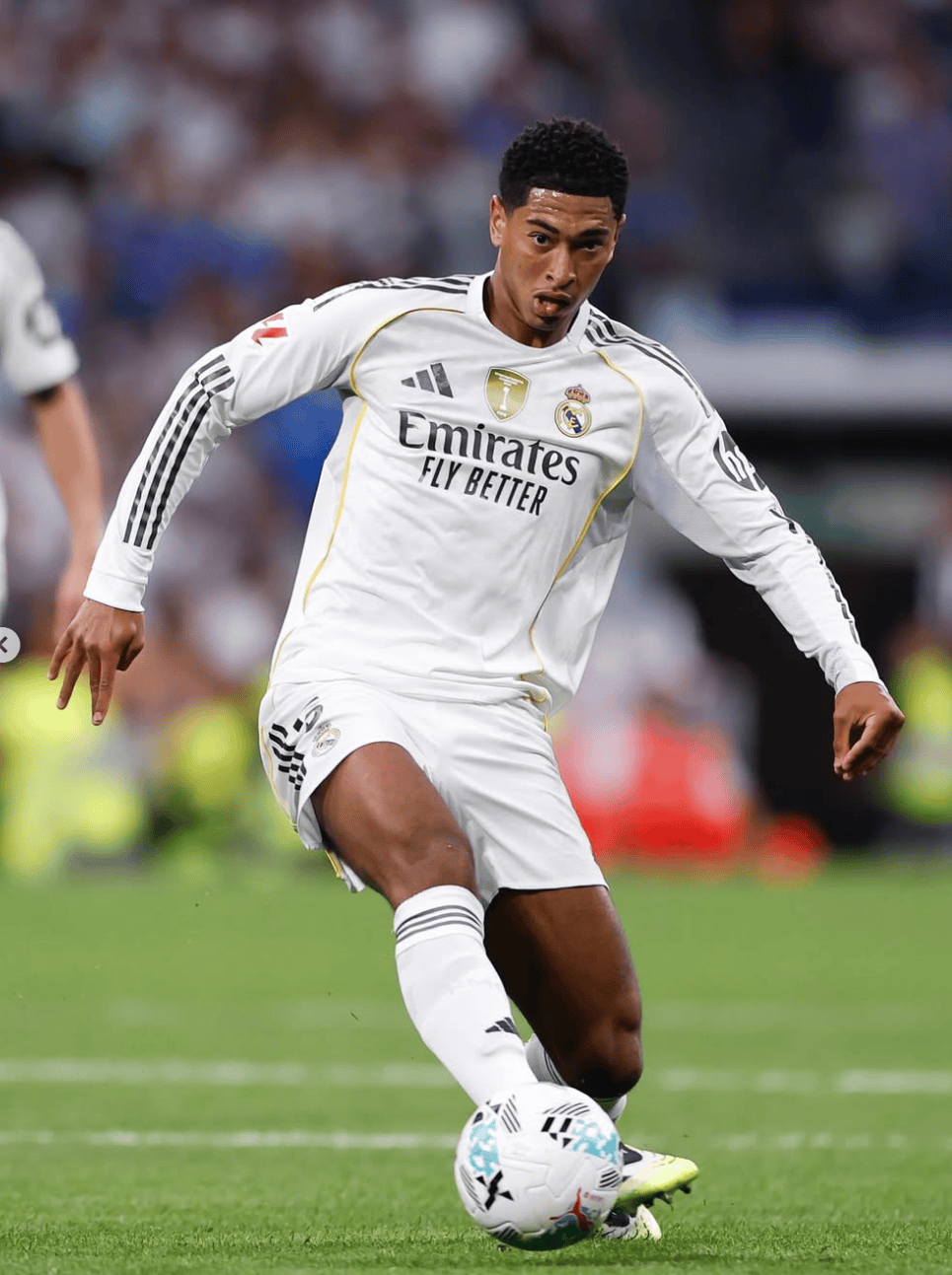 文谈复出, 接下来