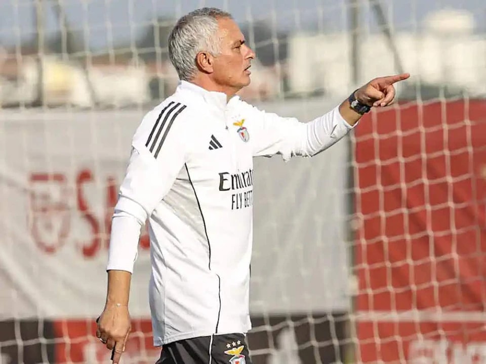 entit, 真正是队长, 本菲卡合适